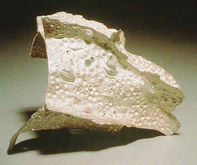 The Work of Darcy Miro