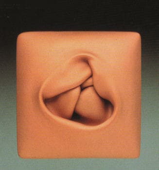 The Work of Yuyen Chang