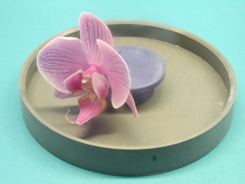 Casting an Orchid Flower