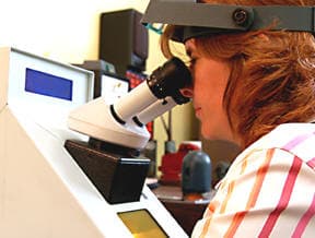 950 Palladium: Bench Guide