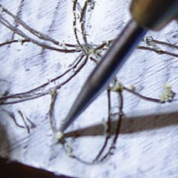 Tips for transferring patterns onto wax