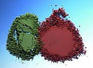 Buffing and Polishing Materials