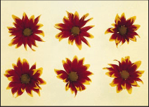 Electroforming for Innovative Design