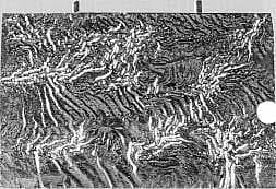 Reticulation – Ridges and Ripples
