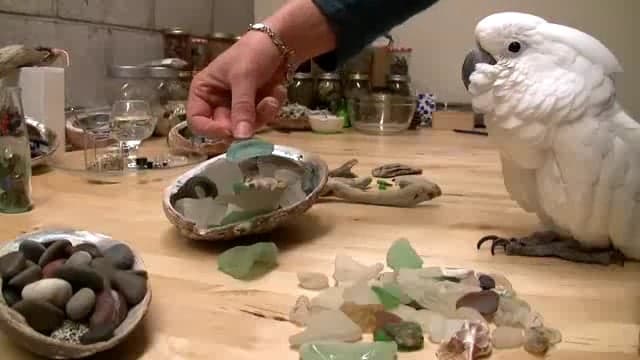 Beach Glass Jewelry with Wildpen