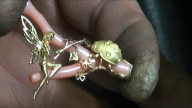 CORAL AND  LITTLE FAIRY 13