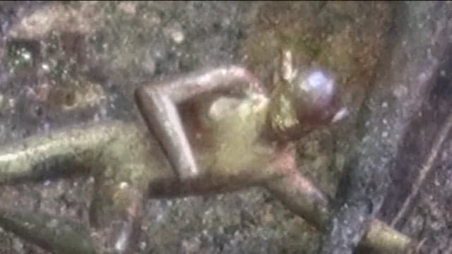 CORAL AND  LITTLE FAIRY 3