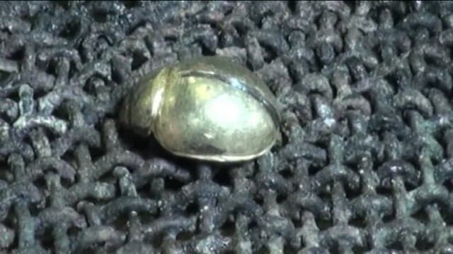 CORAL AND  LITTLE FAIRY 9