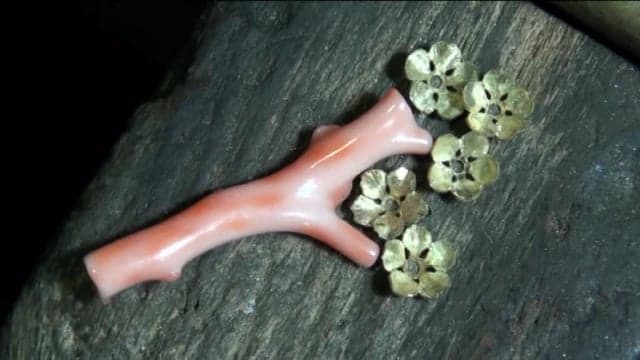 CORAL AND  SPRINGTIME 1