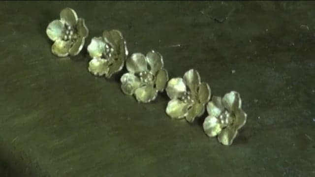 CORAL AND  SPRINGTIME 3