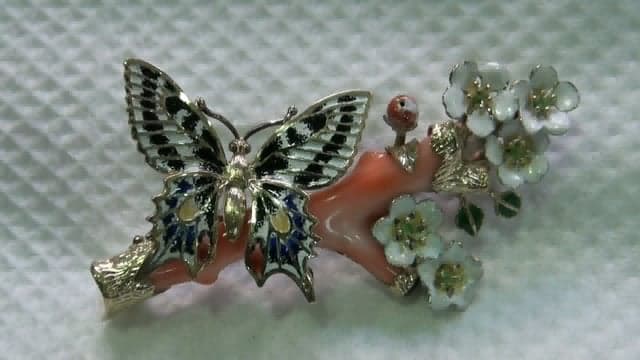 CORAL AND  SPRINGTIME -final