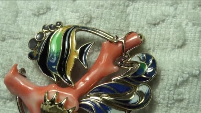 CORAL & ANGELFISH 6 – final