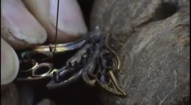 FAIRY – Back to the wings 2