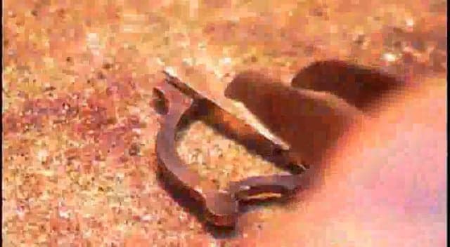 FAIRY – The Magic Harp