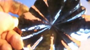 Medium size fountain