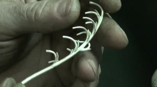 PANDORA’S GARDEN 2