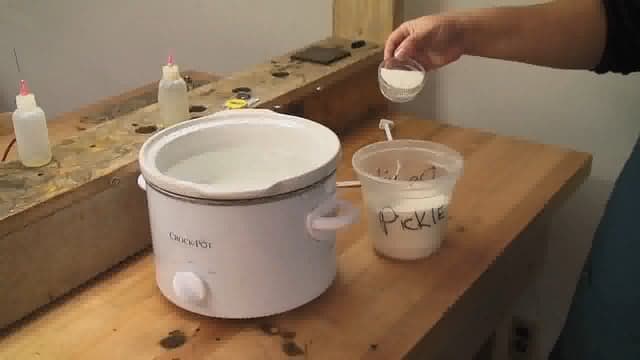 Pickle Facts with Jewelry Arts Institute