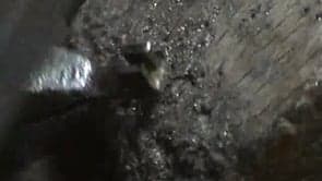 Sun Bracelet – Part 8