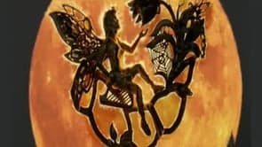 THE NAME OF THE FAIRY