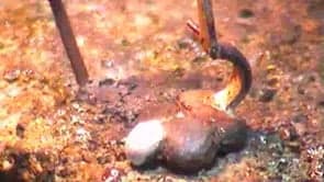 White Gold & Diamonds 5 – final