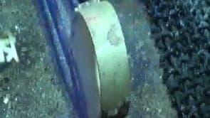 ZODIAC WEDDING RINGS 1