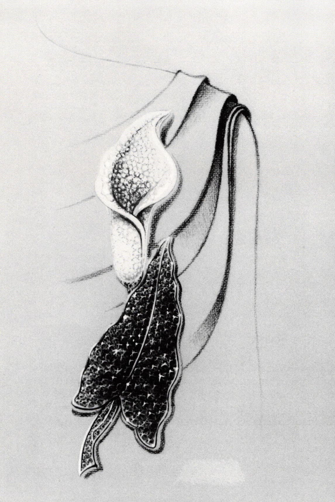 Rendering Design and Process