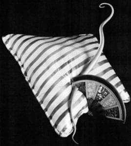 Fusion Patterns - Slice, photoetched and silver fusion