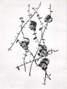 Hydraulic Die Forming-Susan Kingsley, Floating Variations Hung-up in a Structure