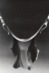 Betty Helen Longhi Exhibition