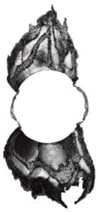 Carrie Adell: Energies of Transformation: Solar Wind, Neckpiece