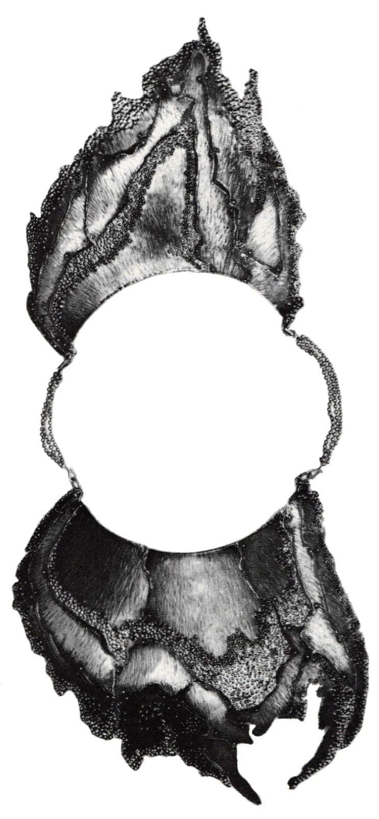 Carrie Adell: Energies of Transformation