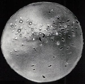 Barbara Heinrich, Brooch