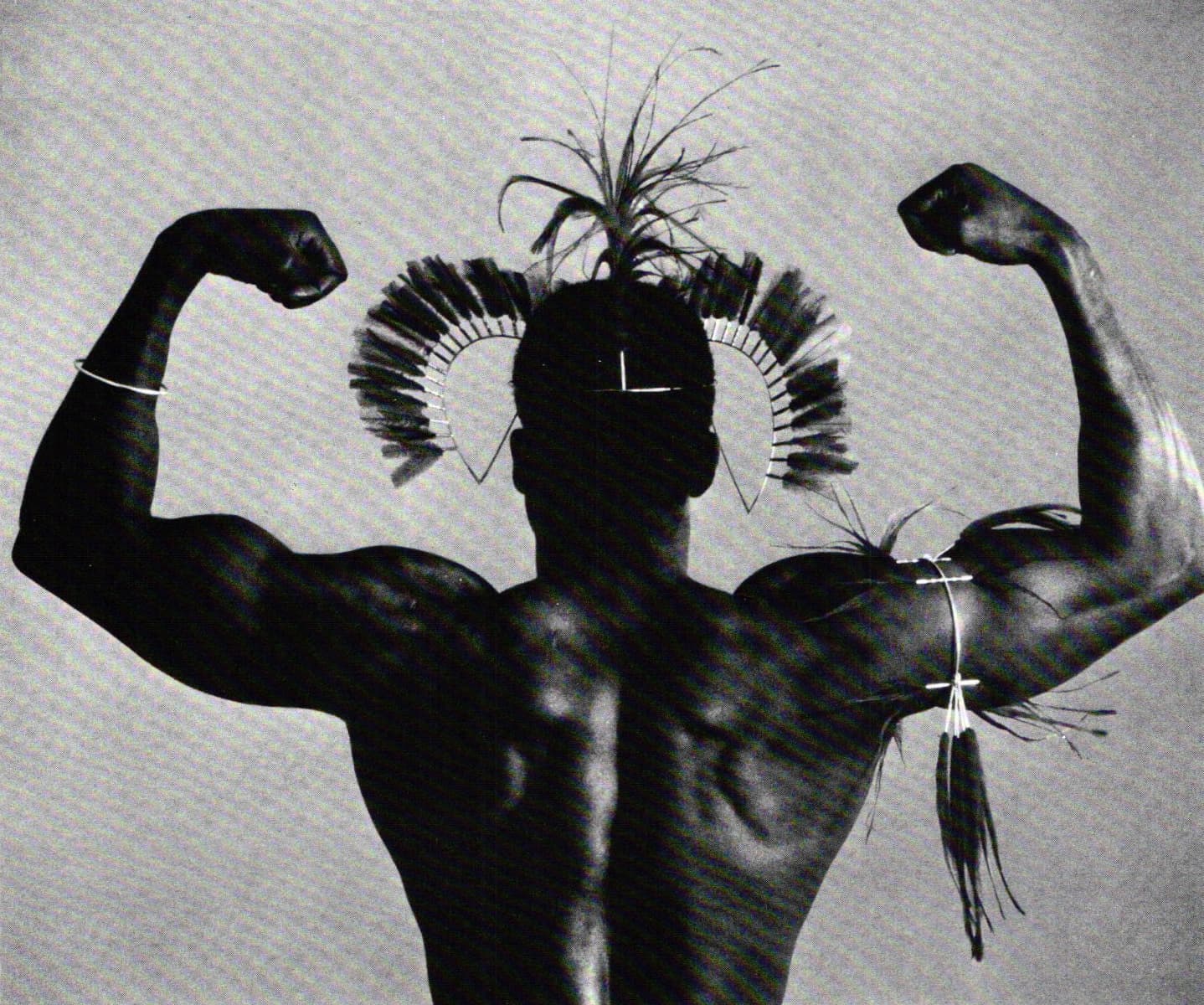 Fads and Fallacies: Modelling Fashion