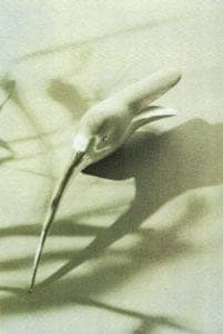 Ted Muehling - Egret Clip