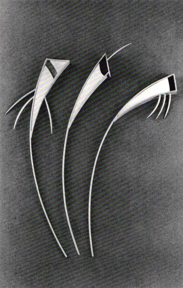 Projects of Exploration: The Art and Science of Line