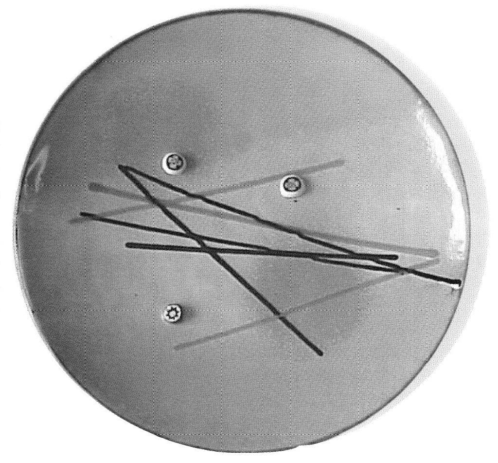 Experiment Shortcuts