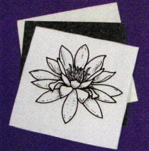 transferring cartoon