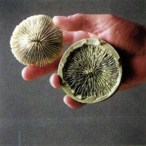 silicon moulding compounds