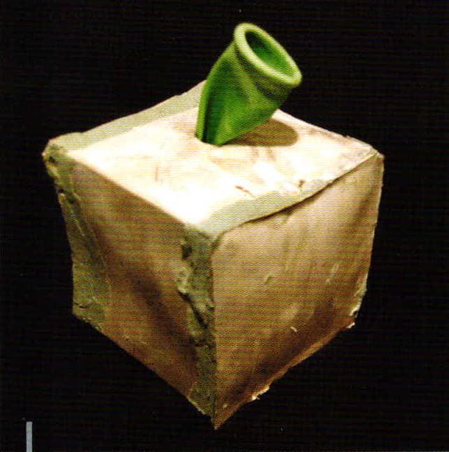 Roots in the Past, The Future Ahead