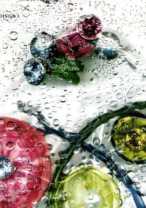 Inhorgenta Europe 2006