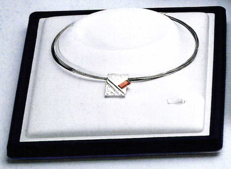 Rebra Collection: Showcasing Made Easy