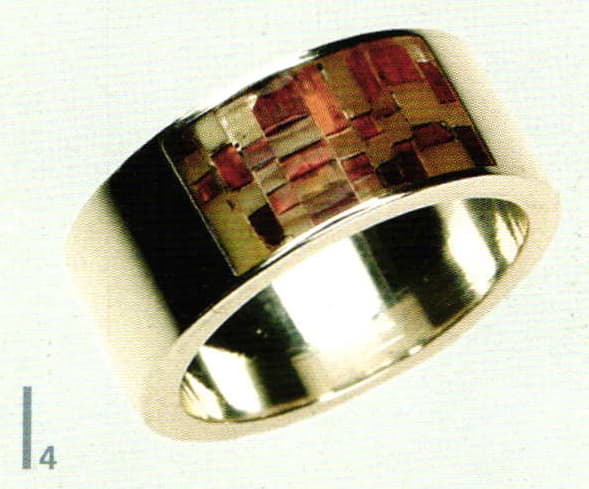 Amber: The Mysterious Gold of the North