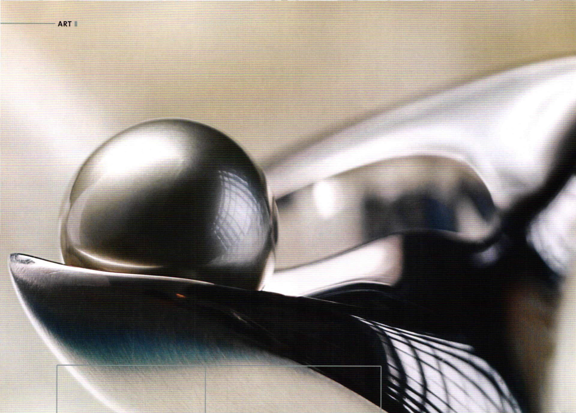 Students Photographing Jewelry