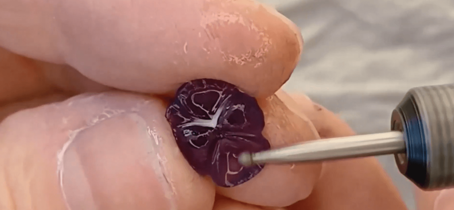 Intaglio Video #5: Details