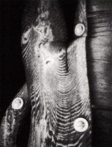 Performance and Beyond - Susan Clark, Untitled