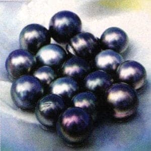 tahitian pearl